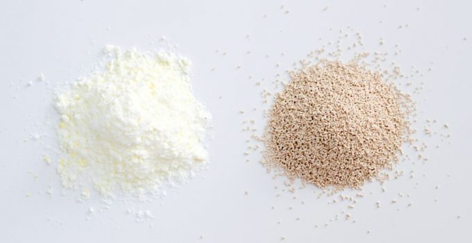 Yeast vs Baking Powder: What Are The Main Differences?